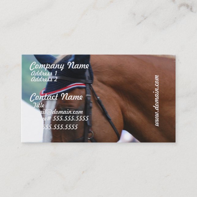 Tarjetas de visita del caballo de Warmblood del (Anverso)