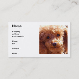 Tarjetas de visita del caniche