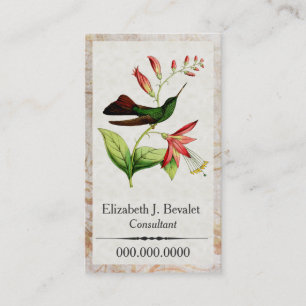 Tarjetas de visita del colibrí de Plumeleteer