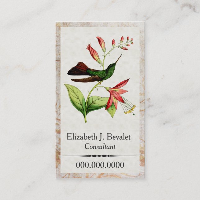 Tarjetas de visita del colibrí de Plumeleteer (Anverso)