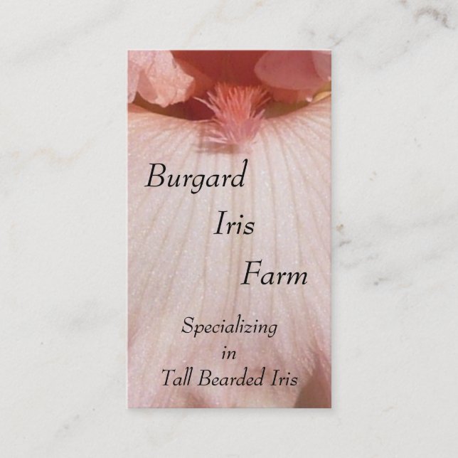 Tarjetas de visita del cuarto de niños (Anverso)