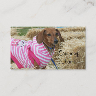 Tarjetas de visita del Dachshund