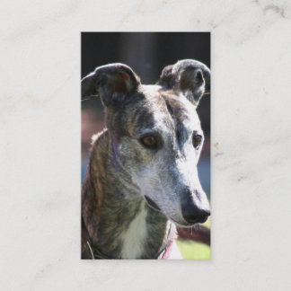 Tarjetas de visita del galgo