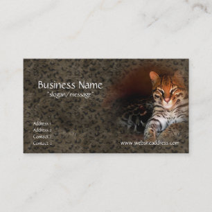 Tarjetas de visita del gato/del gatito de Bengala