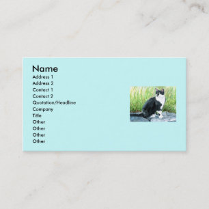Tarjetas de visita del gato del smoking