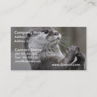 Tarjetas de visita del genio de la nutria