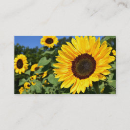 Tarjetas de visita del girasol