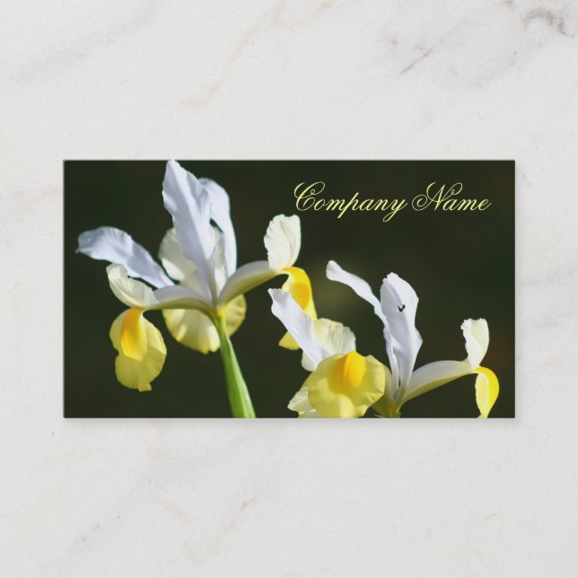 Tarjetas de visita del iris (Anverso)