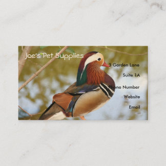Tarjetas de visita del pato de mandarín