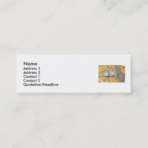 Tarjetas de visita del perfil del oposum
