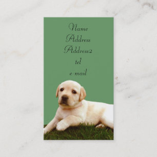 Tarjetas de visita del perrito de Labrador