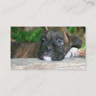 Tarjetas de visita del perrito del boxeador