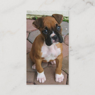 Tarjetas de visita del perrito del boxeador