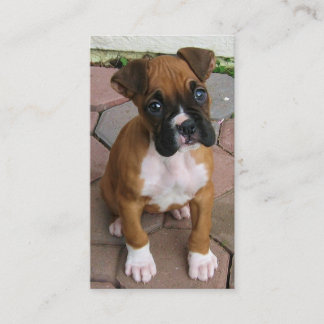 Tarjetas de visita del perrito del boxeador