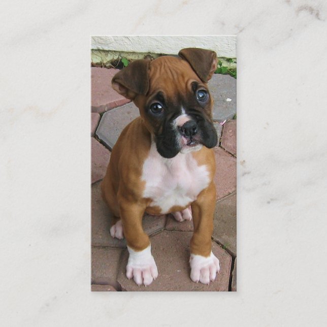 Tarjetas de visita del perrito del boxeador (Anverso)
