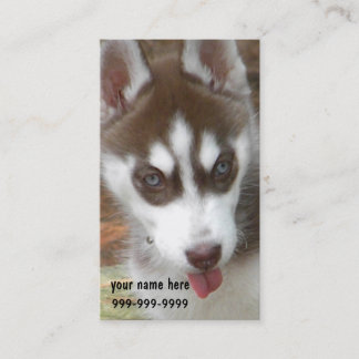 Tarjetas de visita del perrito del husky siberiano