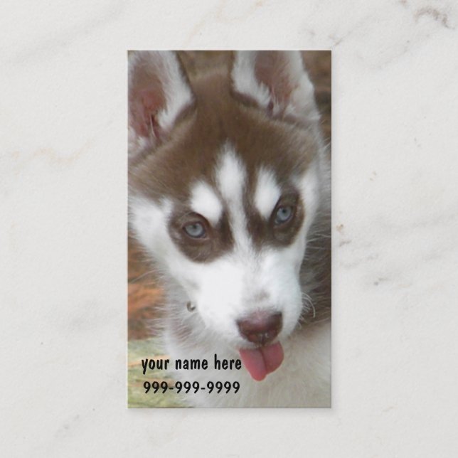 Tarjetas de visita del perrito del husky siberiano (Anverso)