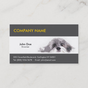 Tarjetas de visita del perro casero