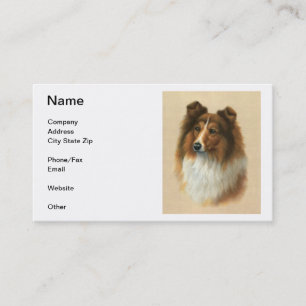 Tarjetas de visita del perro pastor de Shetland