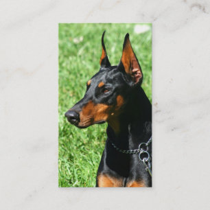 Tarjetas de visita del Pinscher del Doberman