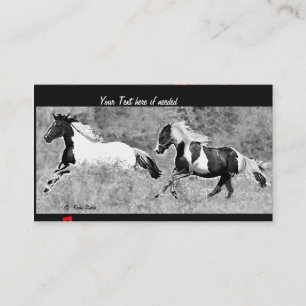 Tarjetas de visita del Pinto