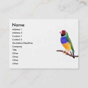 Tarjetas de visita del pinzón de Gouldian