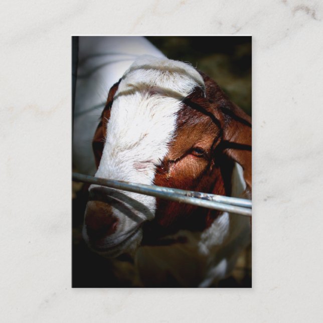 Tarjetas de visita del rancho de la montaña (Anverso)