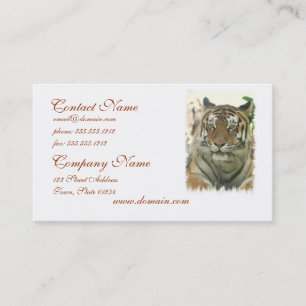 Tarjetas de visita del tigre de Sumatran