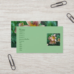 Tarjetas de visita diaria