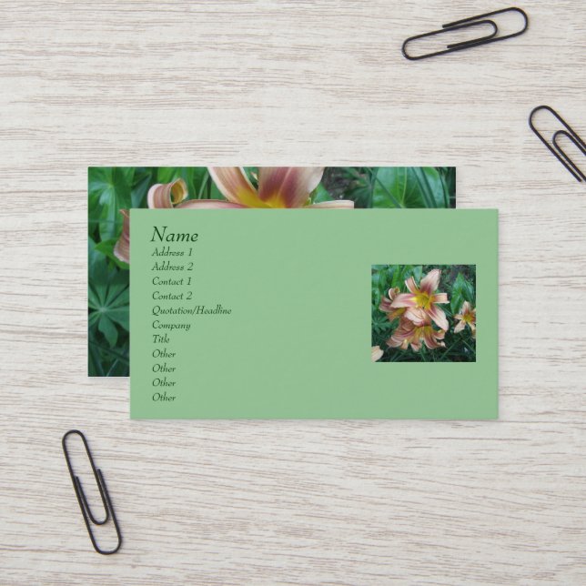 Tarjetas de visita diaria (Anverso/Reverso In Situ)
