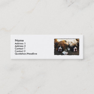Tarjetas de visita flacas de los perritos del