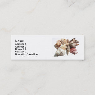Tarjetas de visita flacas de los Seashells