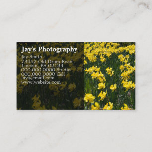 Tarjetas de visita Floral para fotografía