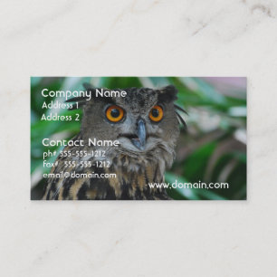 Tarjetas de visita grandes del búho