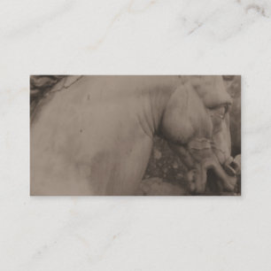 Tarjetas de visita italianas del caballo del