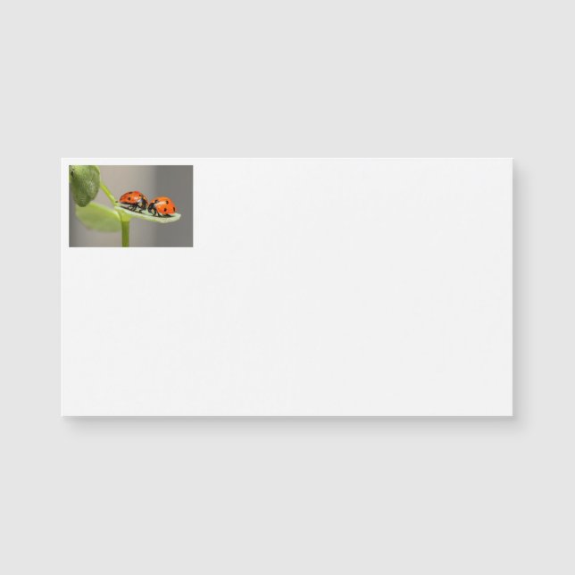 Tarjetas de visita Lady Bugs (Anverso)