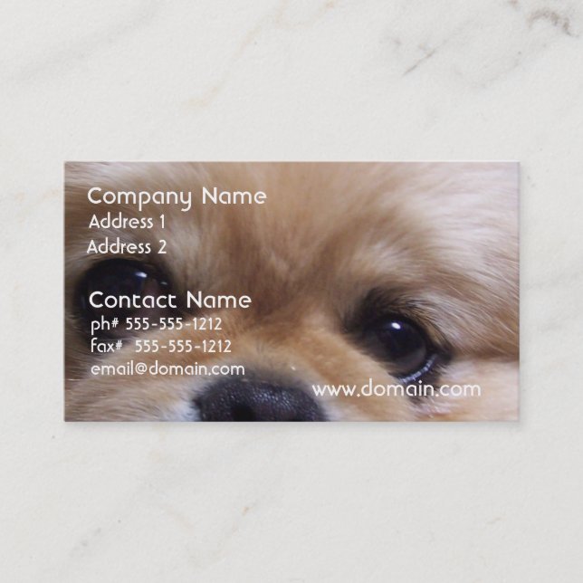 Tarjetas de visita lindas del perrito de Pekingese (Anverso)