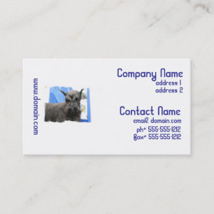 Tarjetas de visita lindas del Schnauzer
