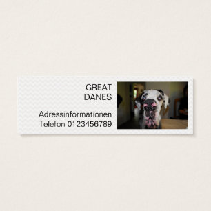 Tarjetas de visita mini