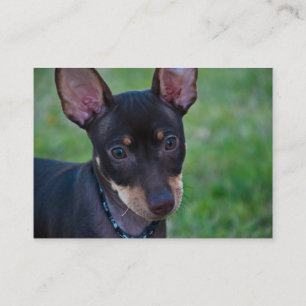 Tarjetas de visita mínimas del Pin