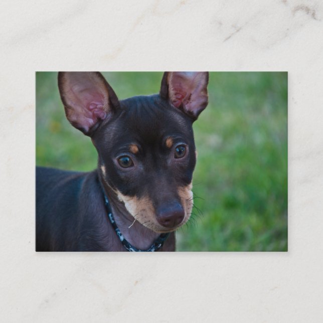 Tarjetas de visita mínimas del Pin (Anverso)