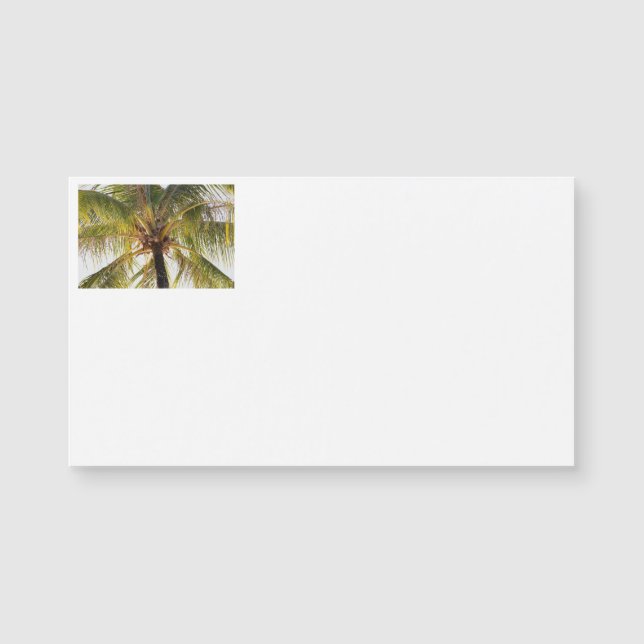 Tarjetas de visita Palm Tree (Anverso)