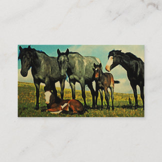 Tarjetas de visita para caballos de época