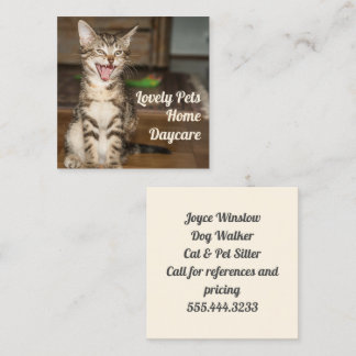 Tarjetas de visita para el Mascota del gato Kitten