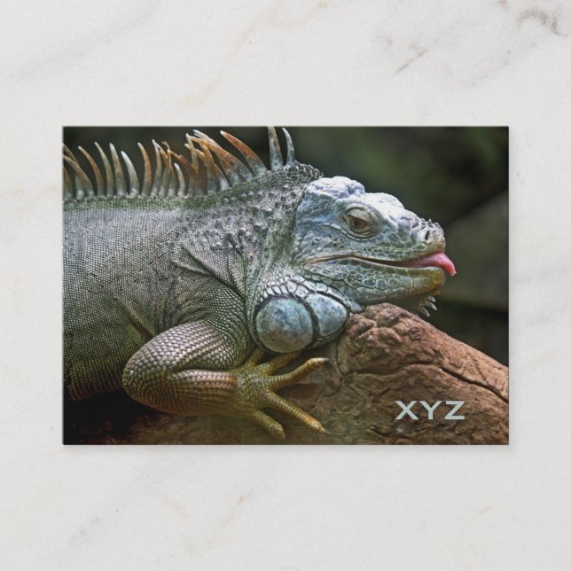 Tarjetas de visita personalizado de iguana (Anverso)