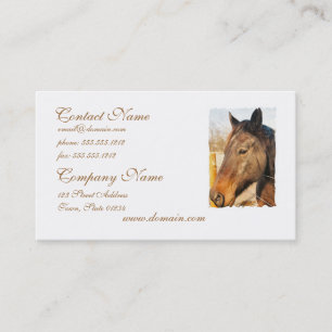 Tarjetas de visita soñolientas del caballo de