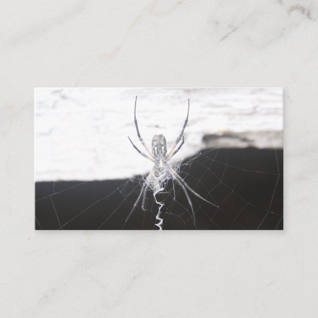 Tarjetas de visita Spider (Anverso)