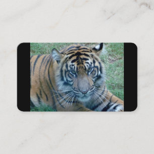 Tarjetas de visita Tiger Image