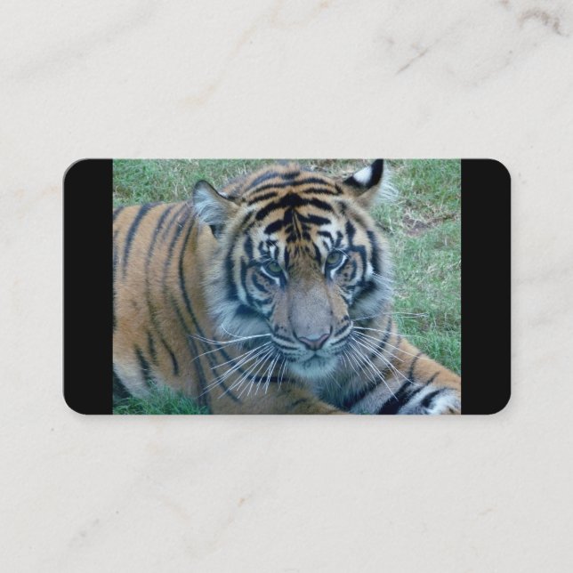 Tarjetas de visita Tiger Image (Anverso)