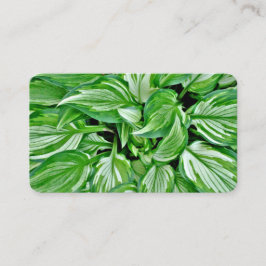 Tarjetas de visita verdes